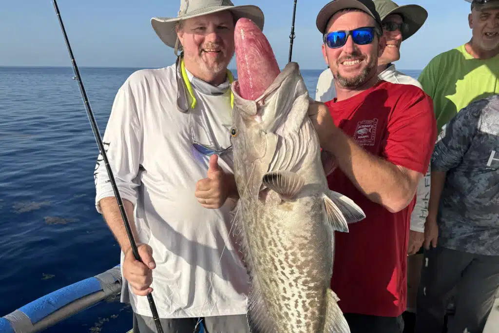 OFFSHORE-gaggrouper