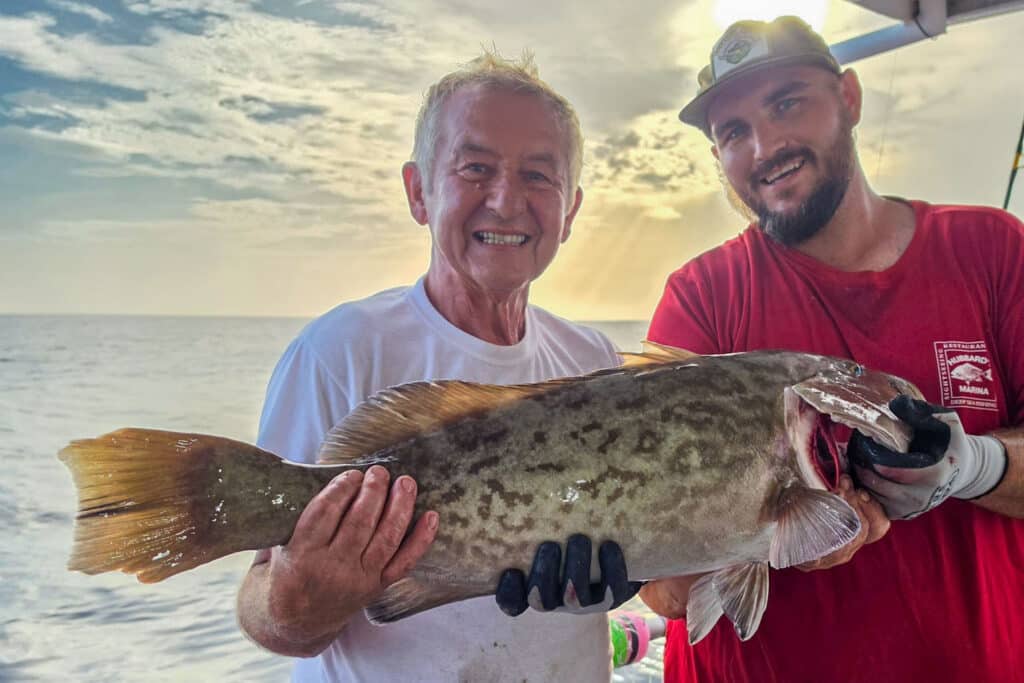 OFFSHORE-gaggrouper (2)