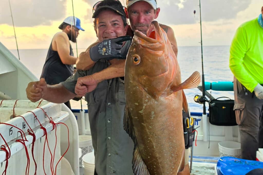 OFFSHORE-redgrouper (2)