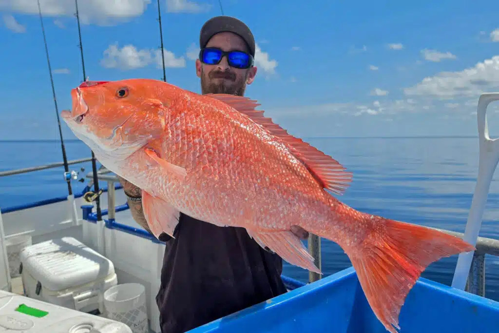 OFFSHORE-redsnapper (6)