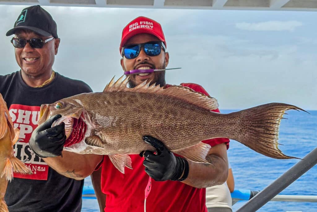 OFFSHORE-scampgrouper