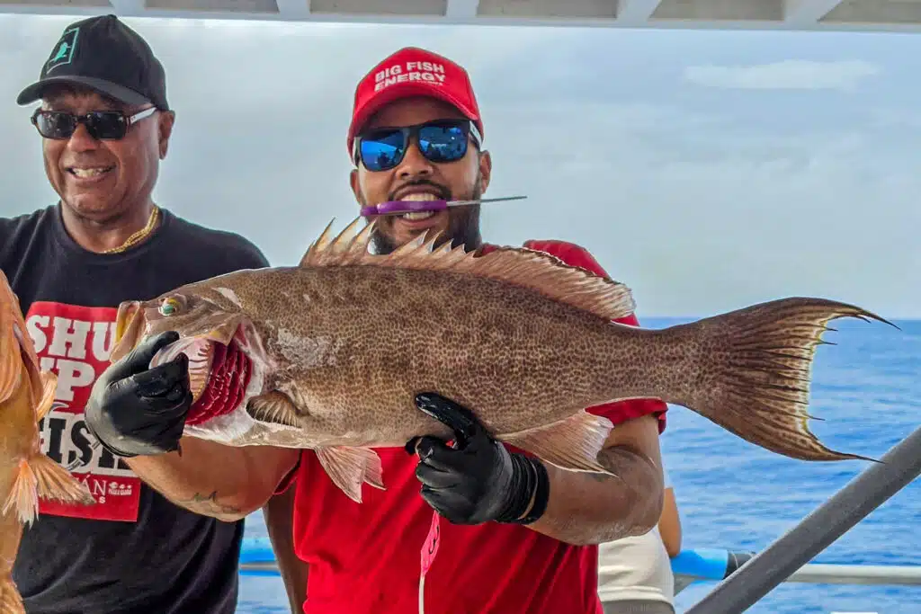 OFFSHORE-scampgrouper