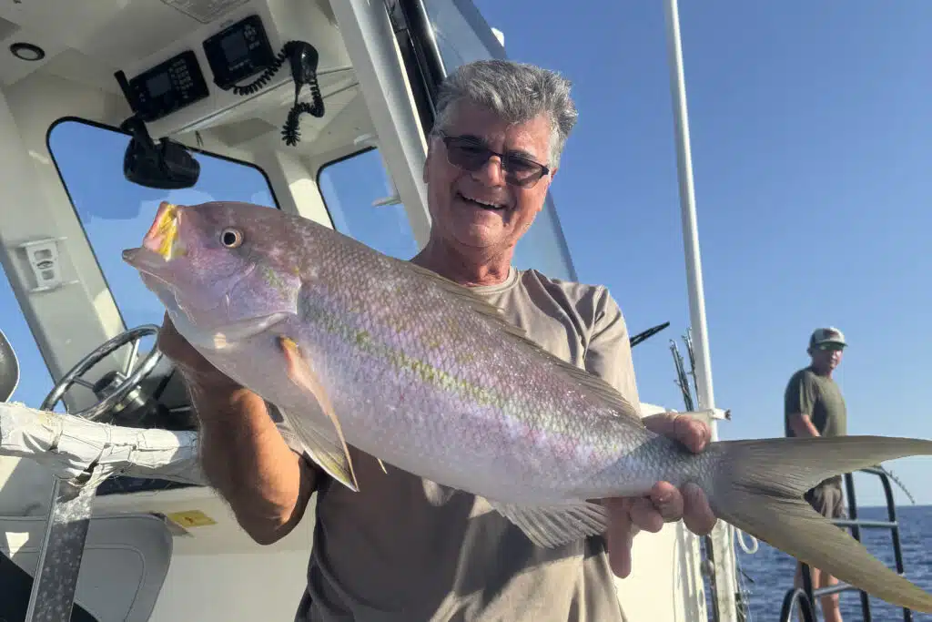 OFFSHORE-snapper