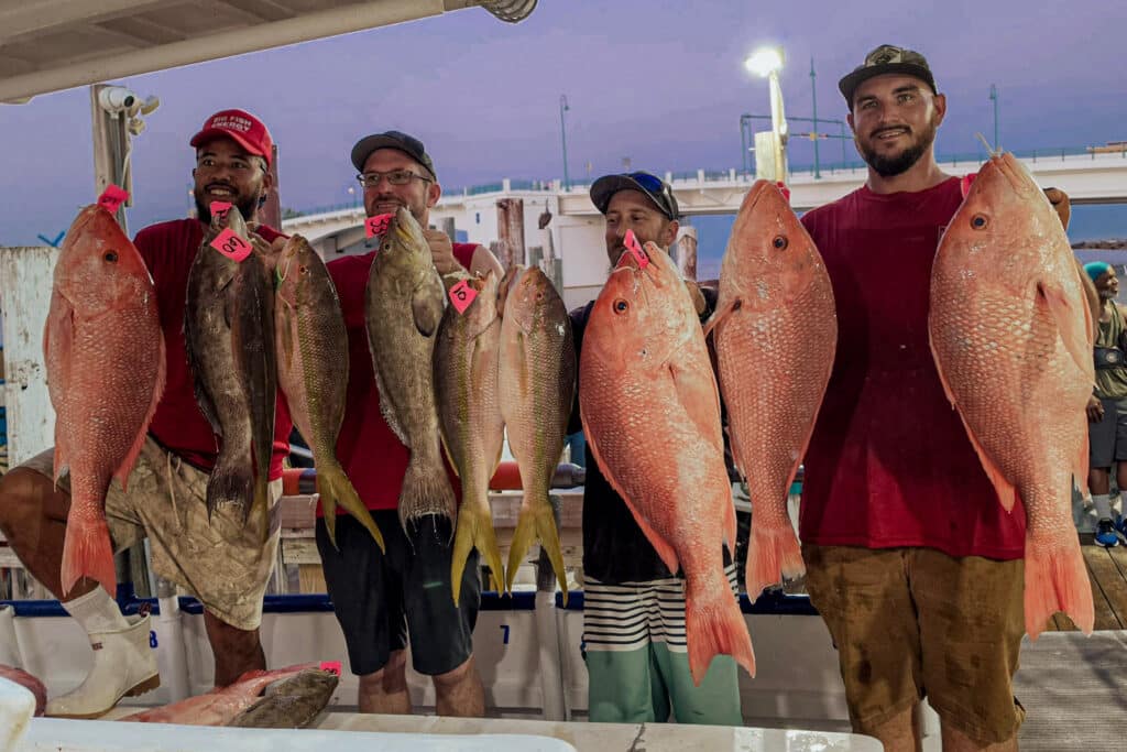 OFFSHORE-snapper-scamp-pile