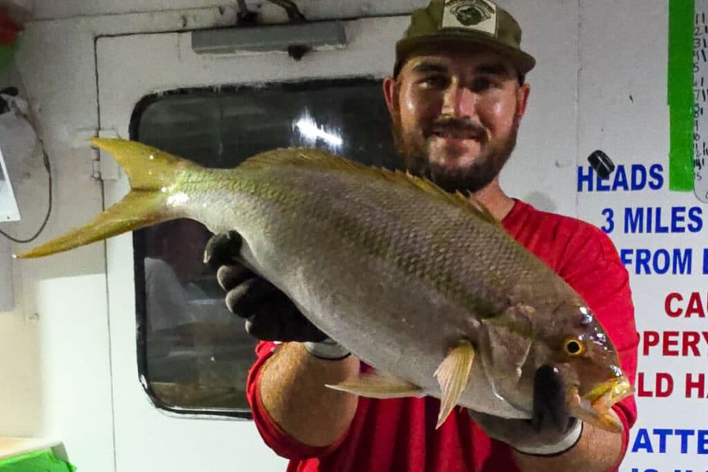 OFFSHORE-yellowtailsnapper