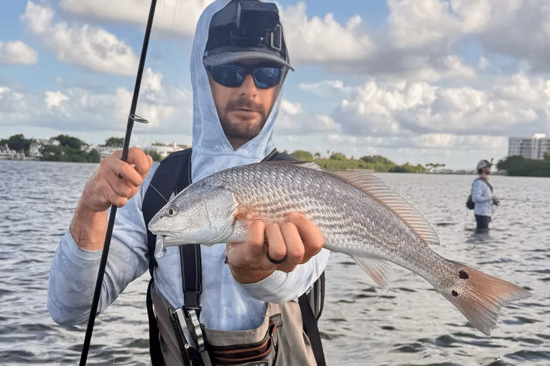 INSHORE-
