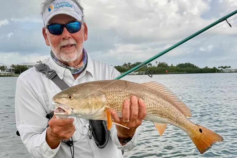 INSHORE-redfish