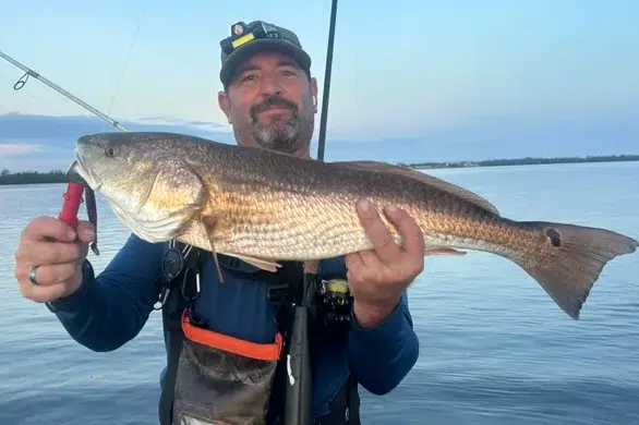 INSHORE-redfish