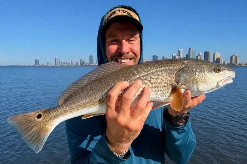 INSHORE-redfish2