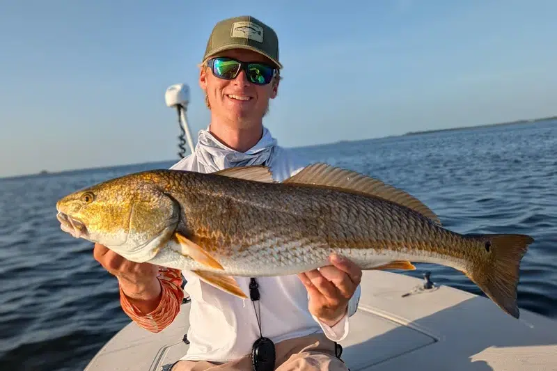 INSHORE-redfish3