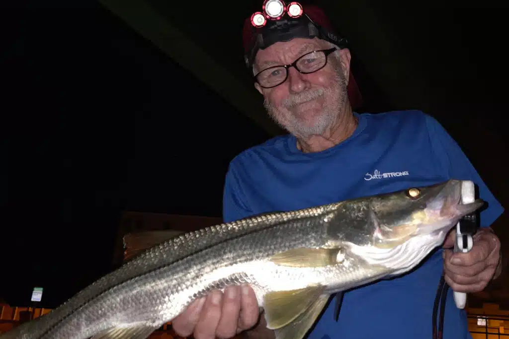 INSHORE-snook (1)