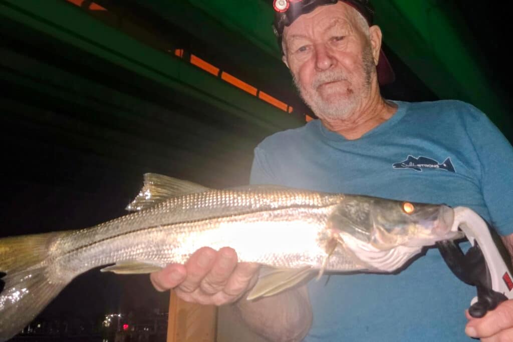INSHORE-snook (2)