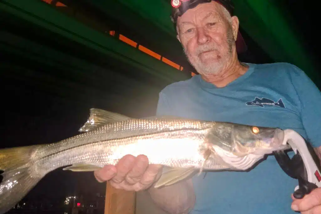 INSHORE-snook (2)