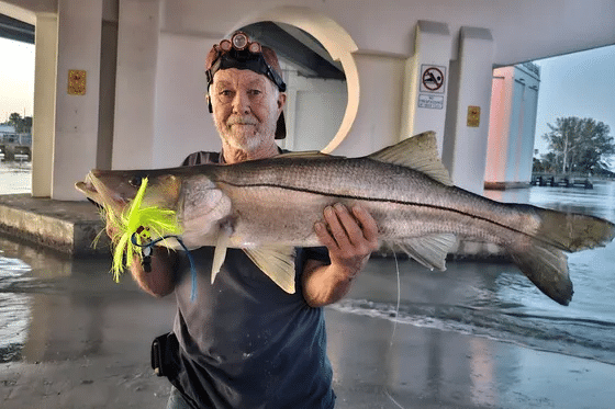 INSHORE-snook3