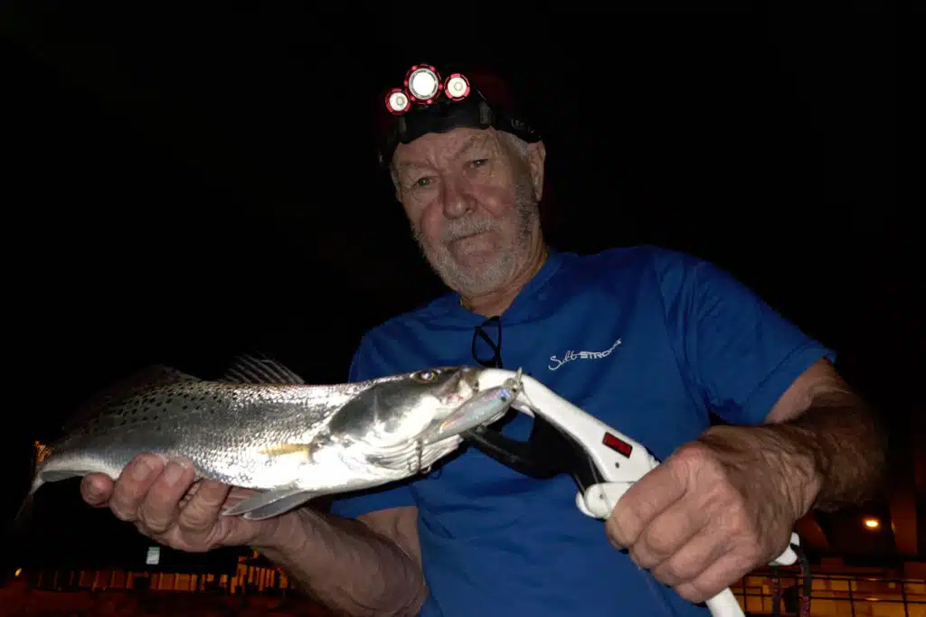 INSHORE-trout
