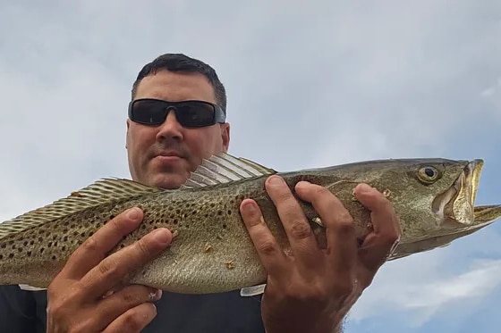 INSHORE-trout