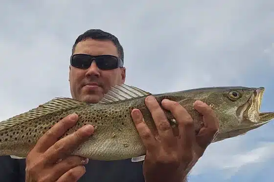 INSHORE-trout