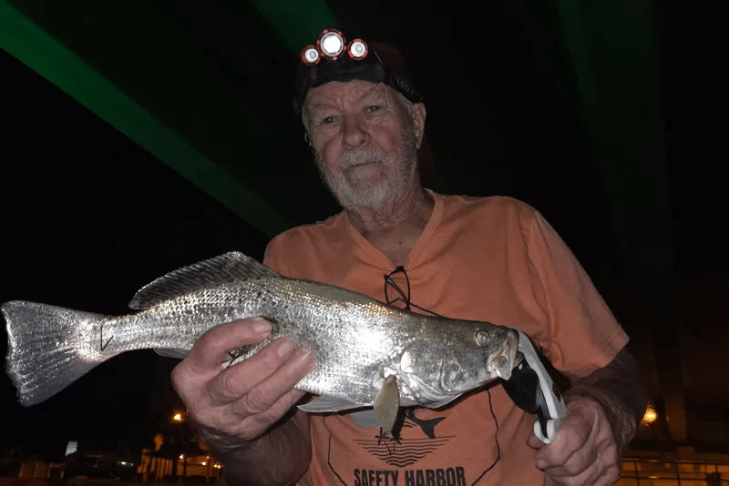 INSHORE-trout2