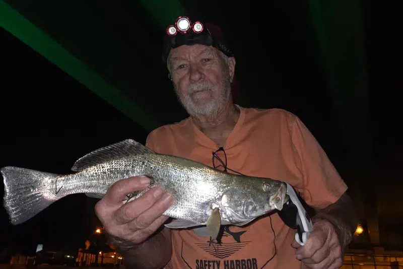 INSHORE-trout2
