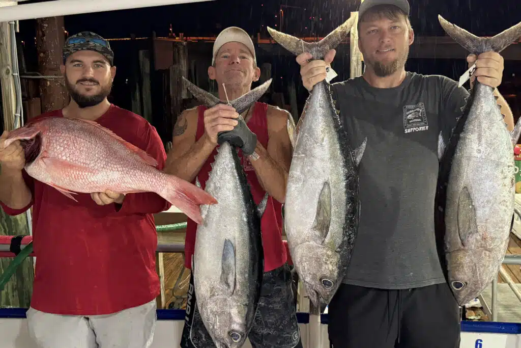 OFFSHORE-blackfin