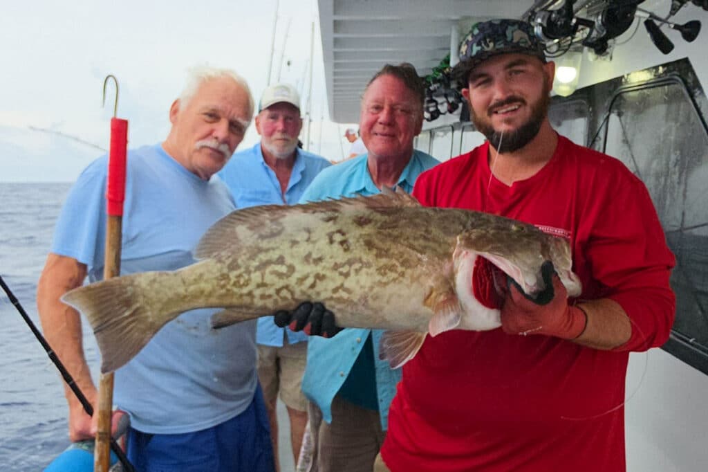 OFFSHORE-gaggrouper