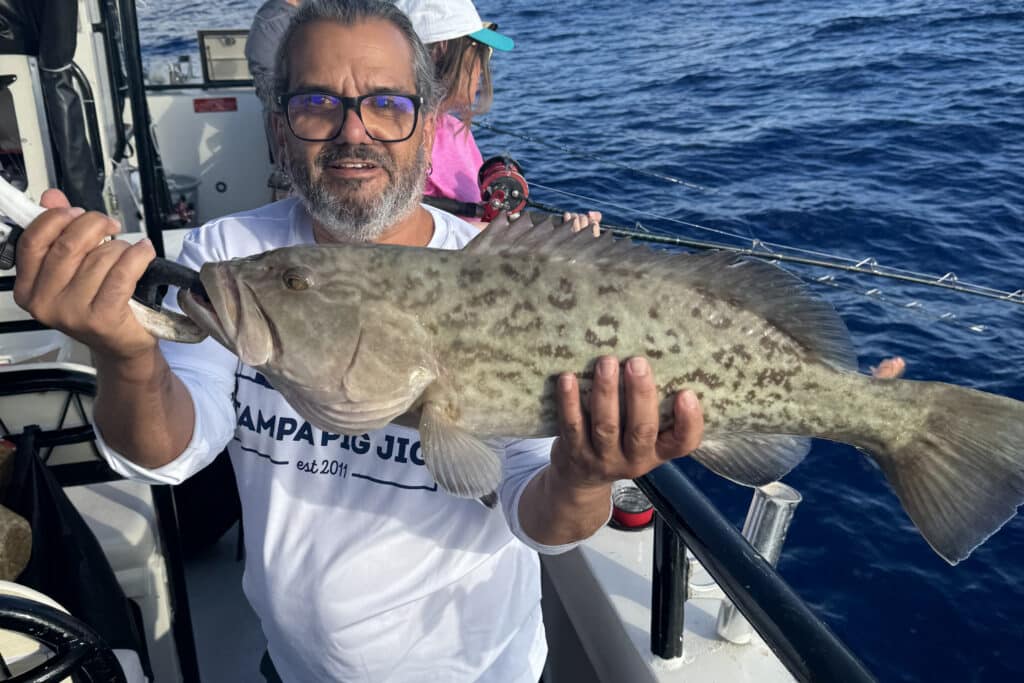 OFFSHORE-gaggrouper (2)