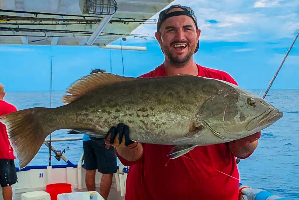 OFFSHORE-gaggrouper