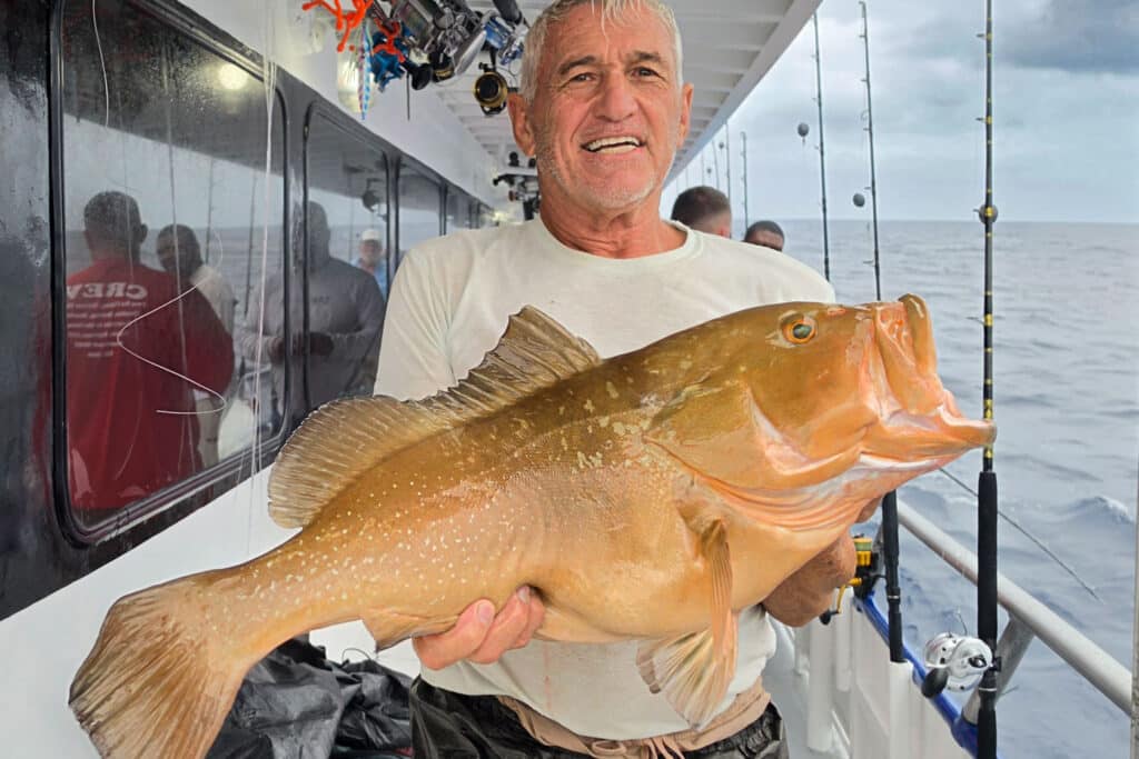 OFFSHORE-redgrouper (1)