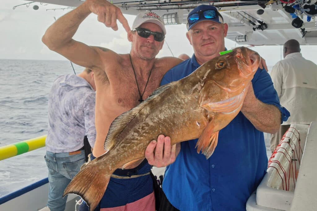OFFSHORE-redgrouper