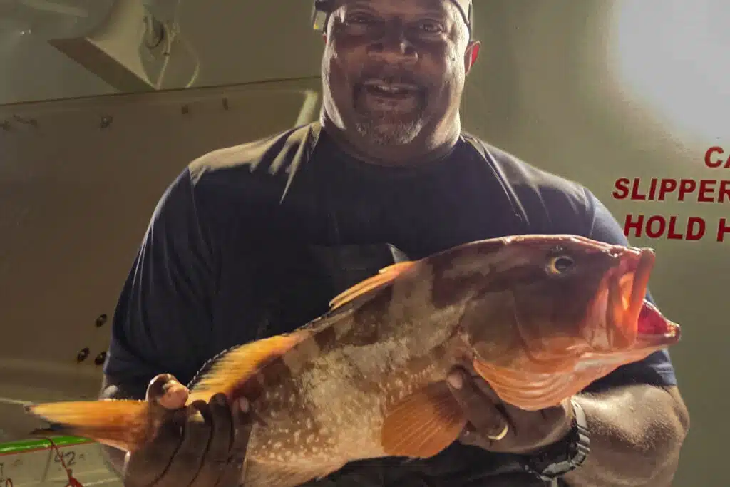 OFFSHORE-redgrouper (5)