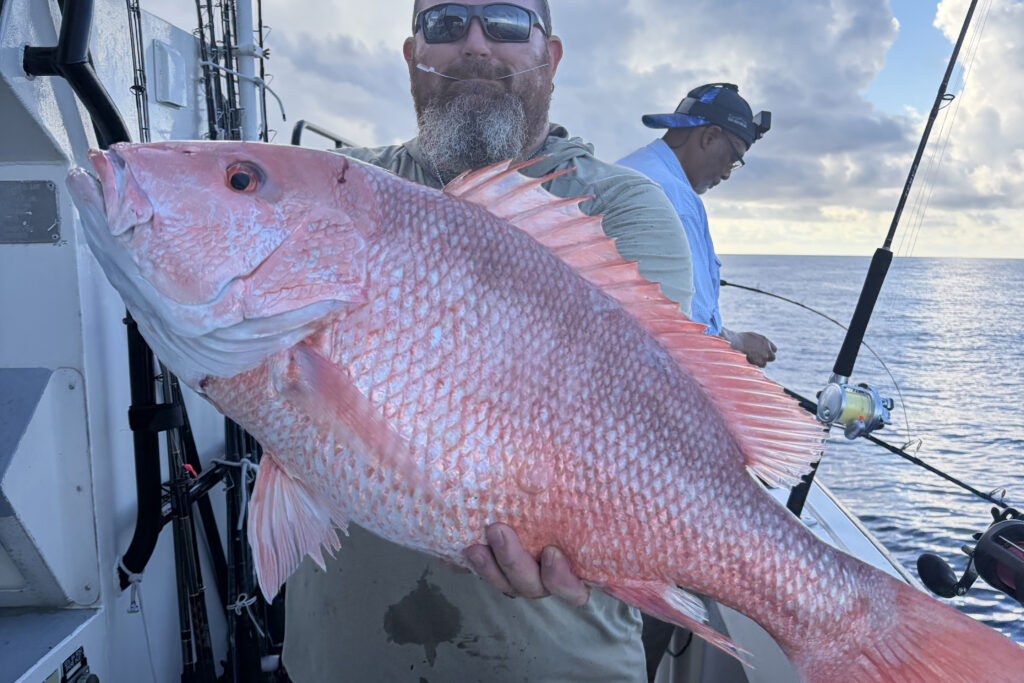 OFFSHORE-redsnapper (1)