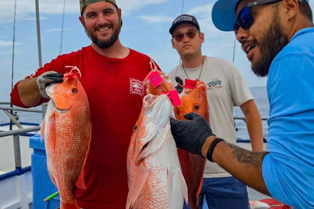 OFFSHORE-redsnapper (11)