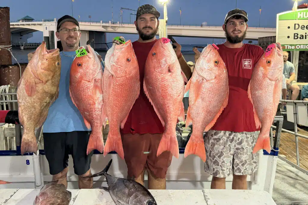 OFFSHORE-redsnapper