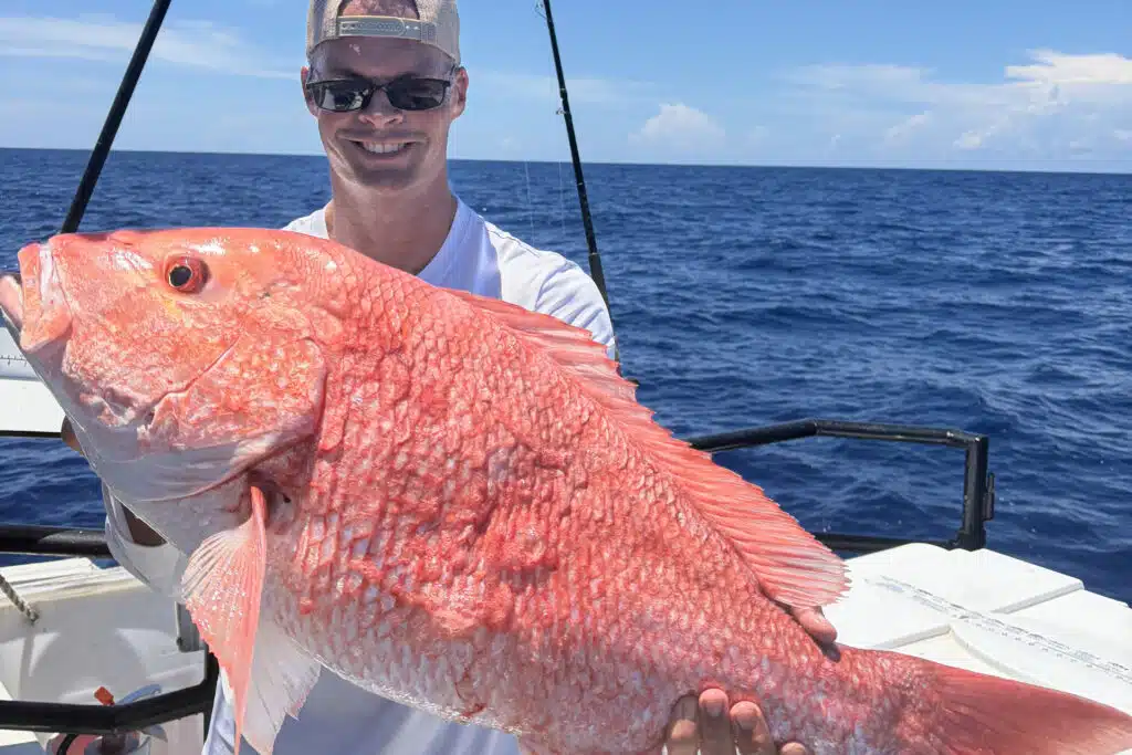 OFFSHORE-redsnapper (5)