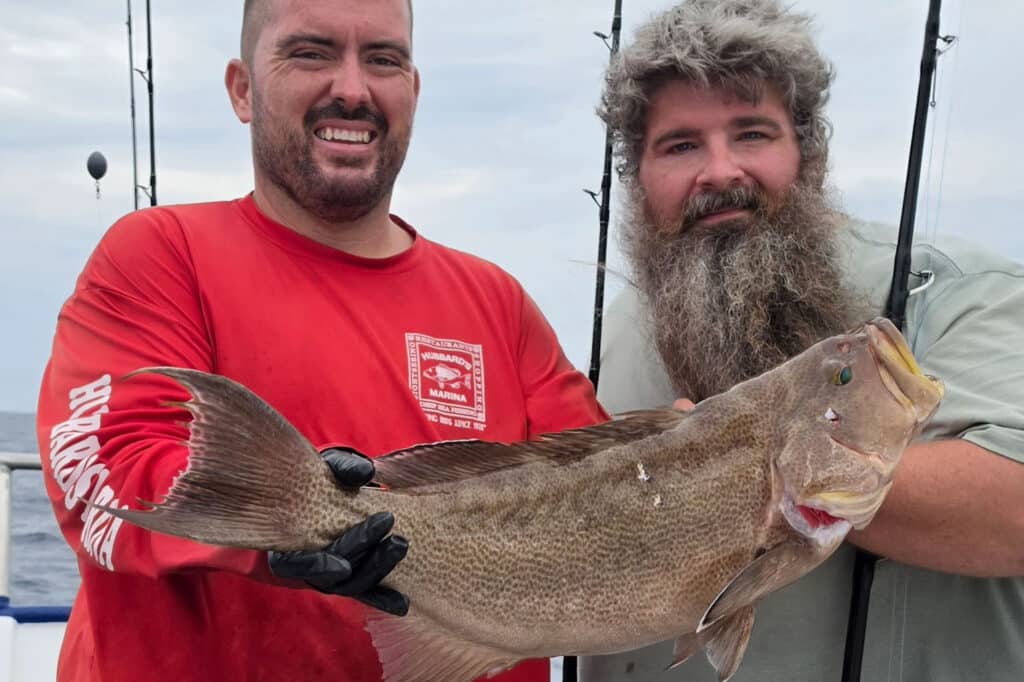 OFFSHORE-scampgrouper