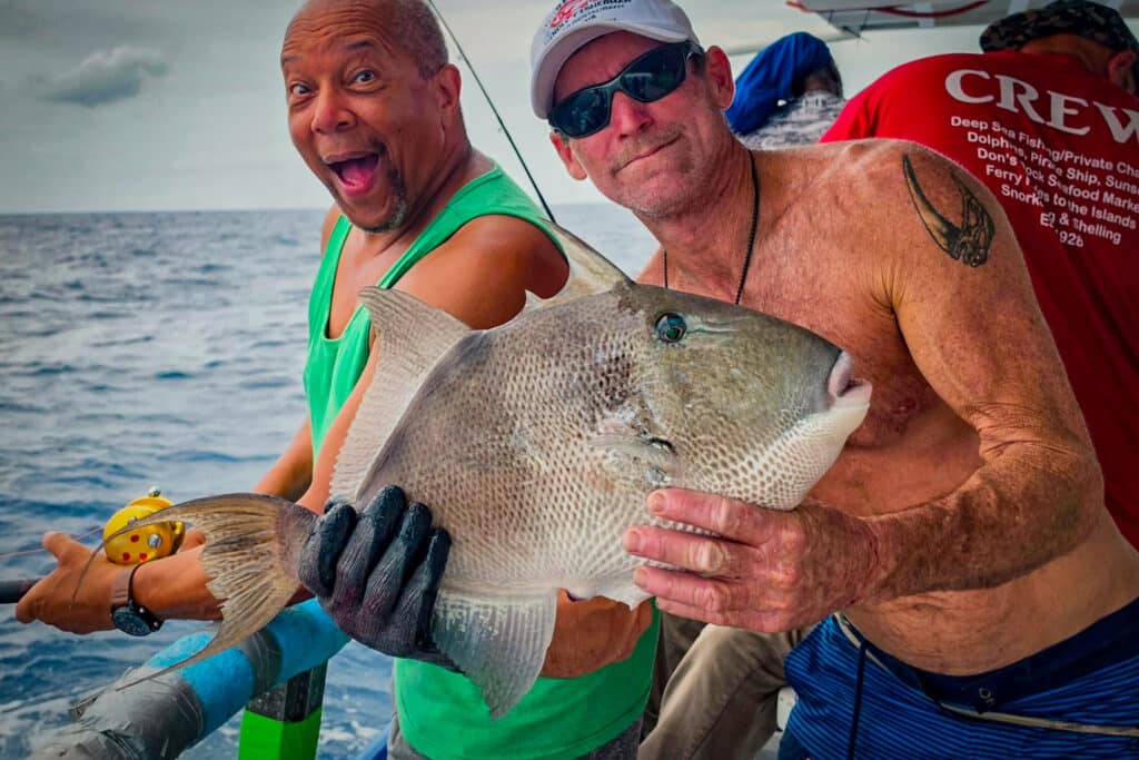 OFFSHORE-triggerfish